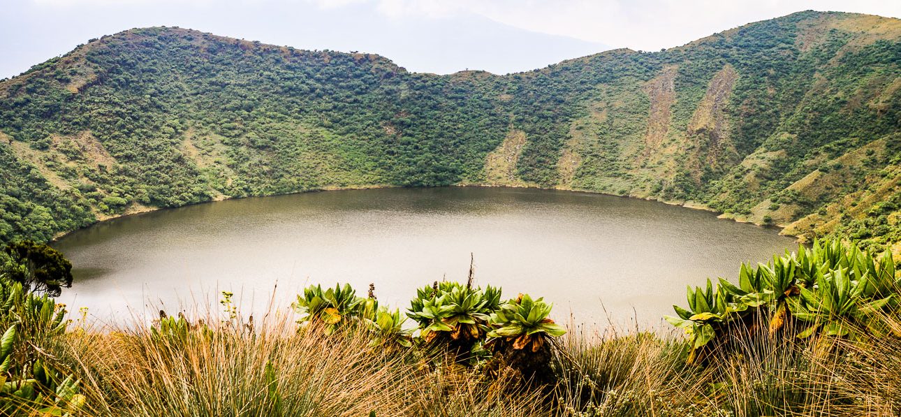 Mt Karisimbi and Bisoke