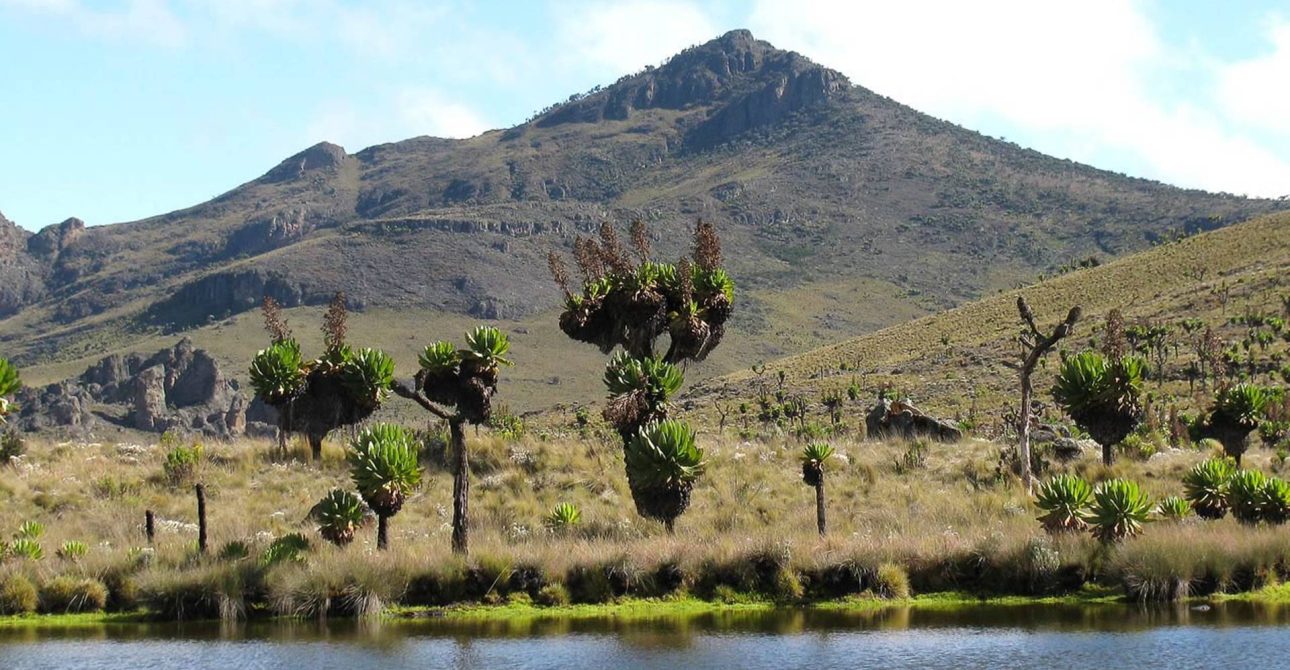 Mt Elgon Trek Kenya & Uganda